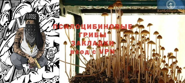 МДПВ Инсар