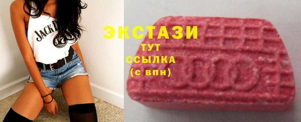 МДПВ Инсар