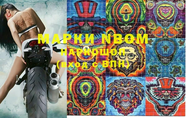 МДПВ Инсар