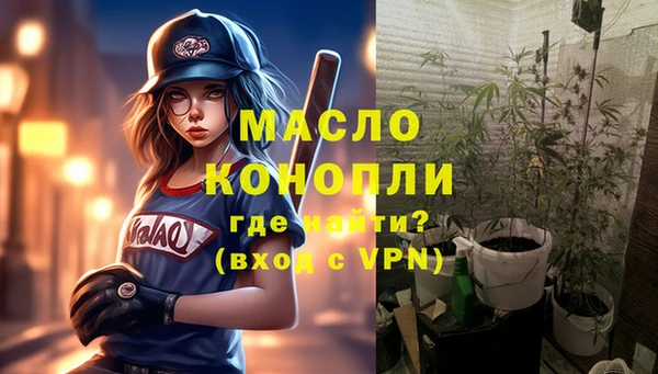 МДПВ Инсар