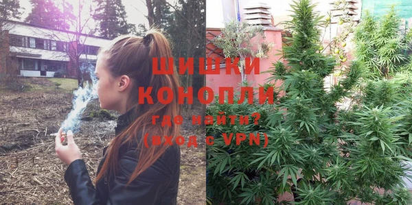 молекула духа Иннополис