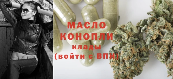 МДПВ Инсар
