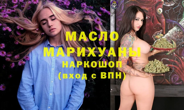 МДПВ Инсар