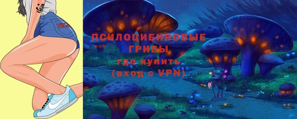 МДПВ Инсар