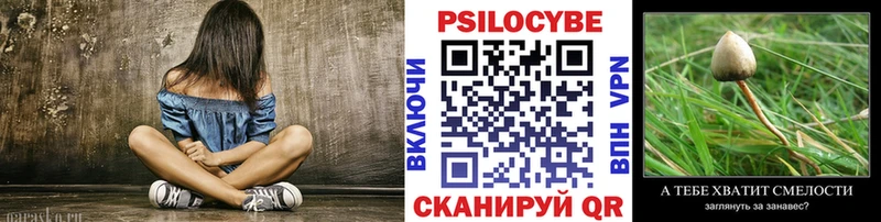 Купить  Кохма  Галлюциногенные грибы мицелий 